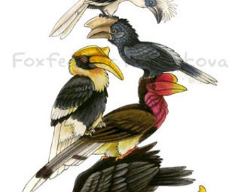 Hornbill Stack Painting Print - Wall art, bird stack, Totem Pole, helmeted hornbill, rhino hornbill, southern ground,