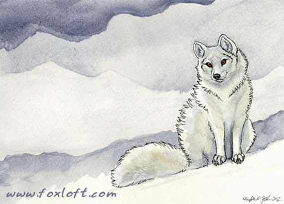 Ice Flower Lis Polarny Wydruku Malarstwo Akwarela Totem Etsy