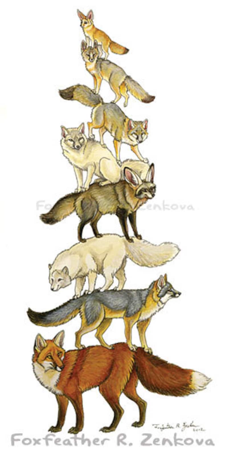 May include: A stack of foxes of different colors and sizes, from a small fennec fox to a large red fox. The foxes are stacked on top of each other, with the smallest fox on top and the largest fox on the bottom. The foxes are all looking at the viewer.