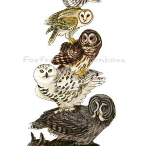 May include: A stack of nine owls in various poses, including a snowy owl, a barred owl, a great horned owl, and a long-eared owl. The owls are painted in a realistic style with detailed feathers and markings.