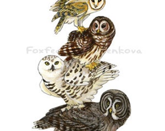 Owl Stack Painting Print - Wall art, bird stack, Barn Owl, Barred Owl, Great Grey Owl, Eagle Owl