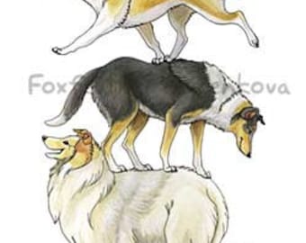 Collie Dog Stack Painting Print - Wall art, animal stack, totem, stacked, rough, smooth, blue merle, tri-color, sable, white, lassie