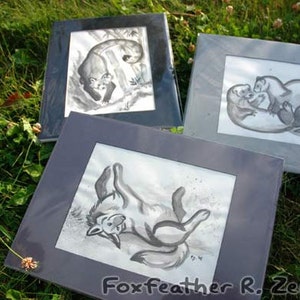 May include: Three framed black and white ink drawings of animals. The first drawing shows a ferret curled up in a ball. The second drawing shows a ferret standing on its hind legs. The third drawing shows a ferret lying on its back with its legs in the air.