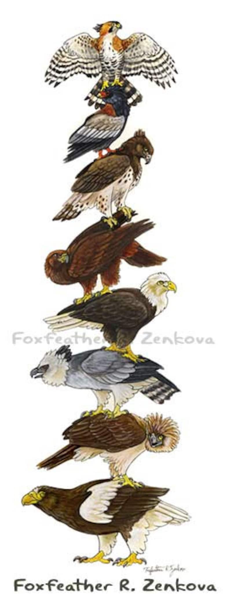 Eagle Stack Painting Print Wall Art, Bird Stack, Harpy, Golden, Bald