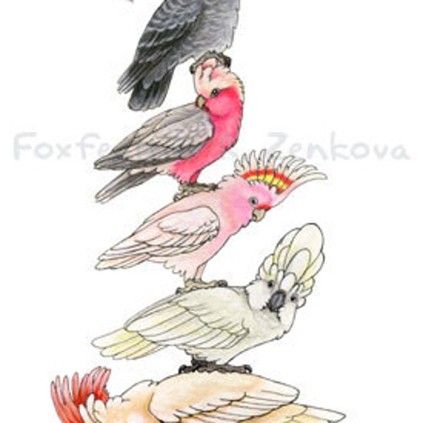 Cockatoo Stack Painting Print - Wall art, bird stack, totem pole, galah, palm, moluccan, parrot, goffin's, umbrella, watercolor, portrait