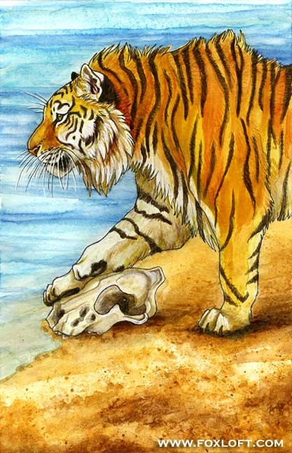 猫 ネコ ねこ cat 虎 トラ 寅 タイガー、絵画 油彩画 動物画、希少画集画 カスピアンタイガーの水彩画プリント - 壁アート、トラ、大型