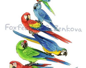 Macaw Stack Painting Print - Wall art, bird stack, hyacinth macaw, spix, scarlet, blue and gold, greenwing, parrot, psittacine