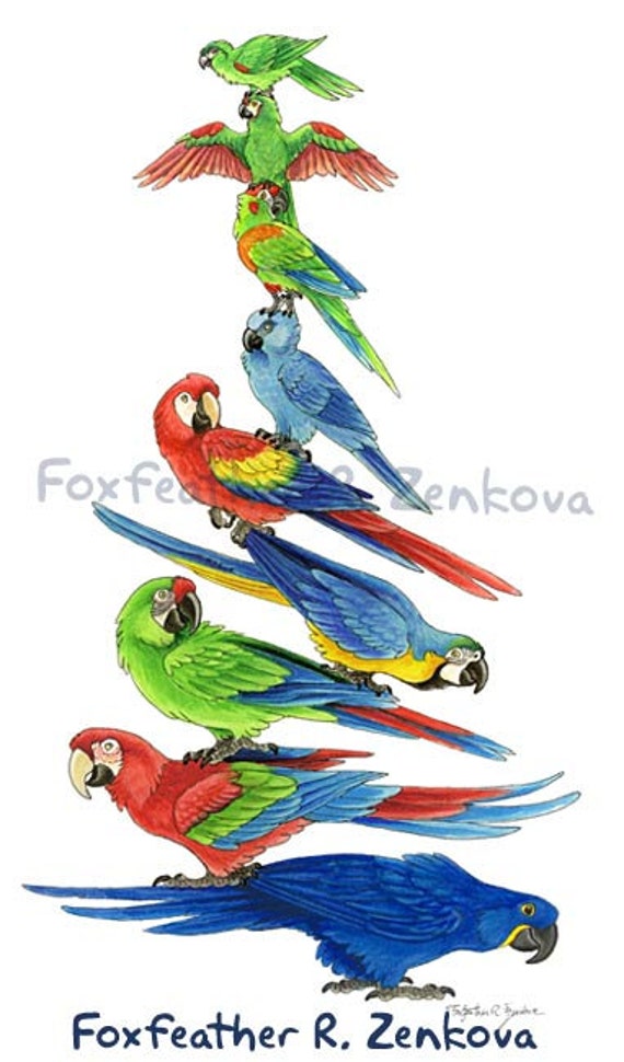 コンゴウインコの積み重ね絵画プリント - 壁アート、鳥の積み重ね