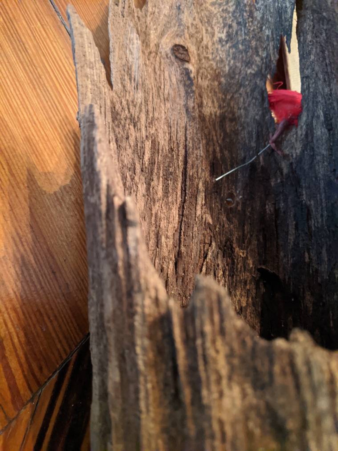 Botanical Lighter Knot Natural Hanger FREE SHIPPING Etsy