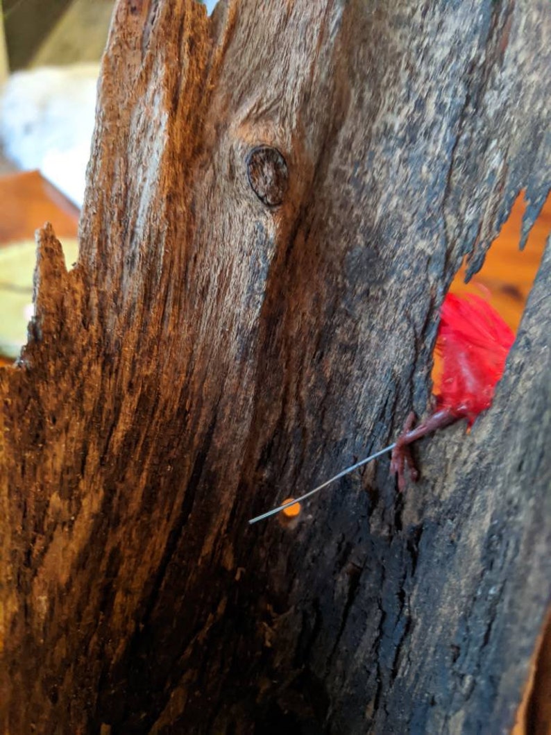 Botanical Lighter Knot Natural Hanger FREE SHIPPING Etsy