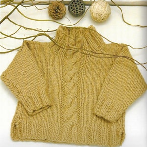May include: A brown knitted sweater with a cable knit pattern and a high neck.