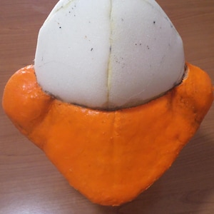 PDF Template for Beak with Ruddy Cheeks for Puppets - Easy, Realistic and Creative! Suitable for DIY, Theater, Puppets, Plush.