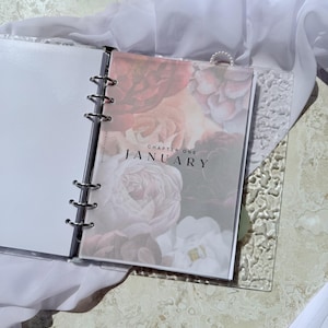 Juego de 12 separadores mensuales de papel vitela para planificador de capítulos / Paneles minimalistas esmerilados / Pestañas de enero a diciembre / Planificadores de anillas y discos de varios tamaños