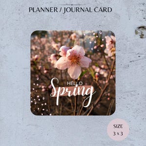 Op de afbeelding: Vierkante planner- of journalkaart met een close-up van een roze bloem met de tekst "Hello Spring" in witte letters. De kaart is 7,6 x 7,6 cm groot en heeft een lichte achtergrond met de woorden "Planner / Journal Card" bovenaan.