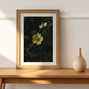 Yellow Flower, Digital Download, Printable Image, Wall Art, Decor, Photography Prints