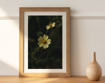 Yellow Flower, Digital Download, Printable Image, Wall Art, Decor, Photography Prints