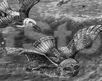 Downloadable goth sketch art, Owls seagulls, Oddities printable files JPG TIFF PNG