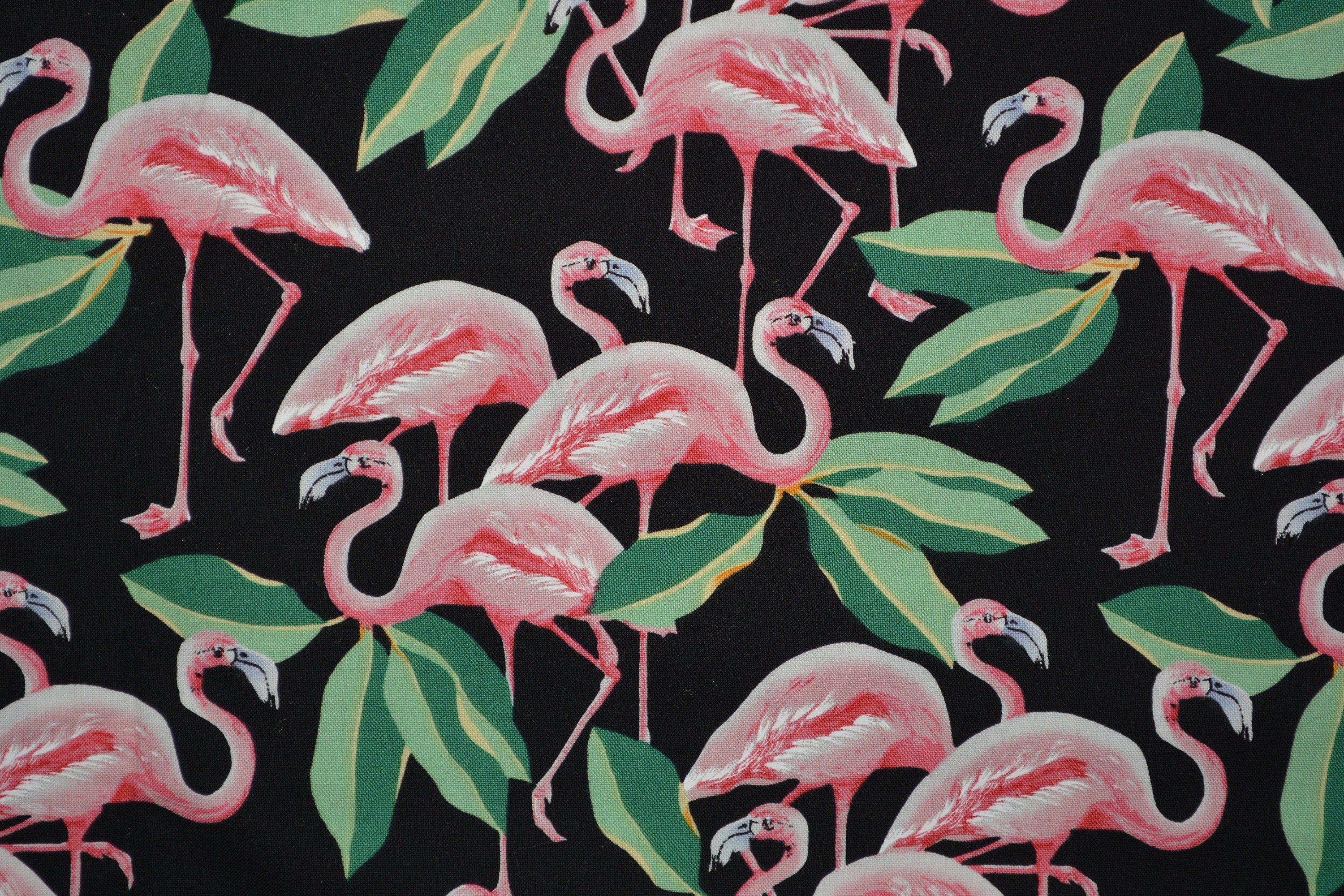 Beautiful Black Pink Flamingo fabric half yard Miami Deco Shamash and Sons