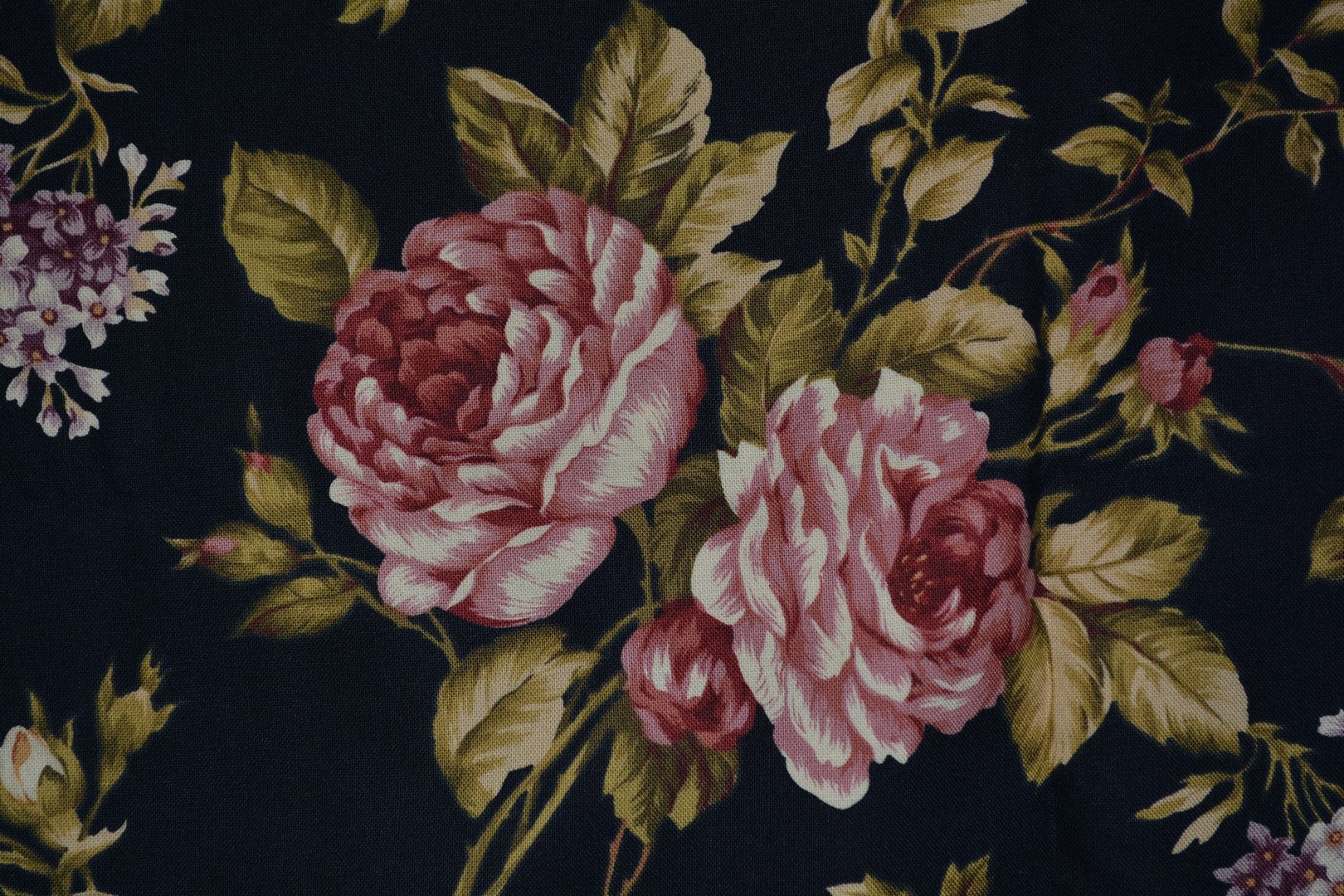 Victorian rose garden fabric black floral cottage roses quilting fabric 