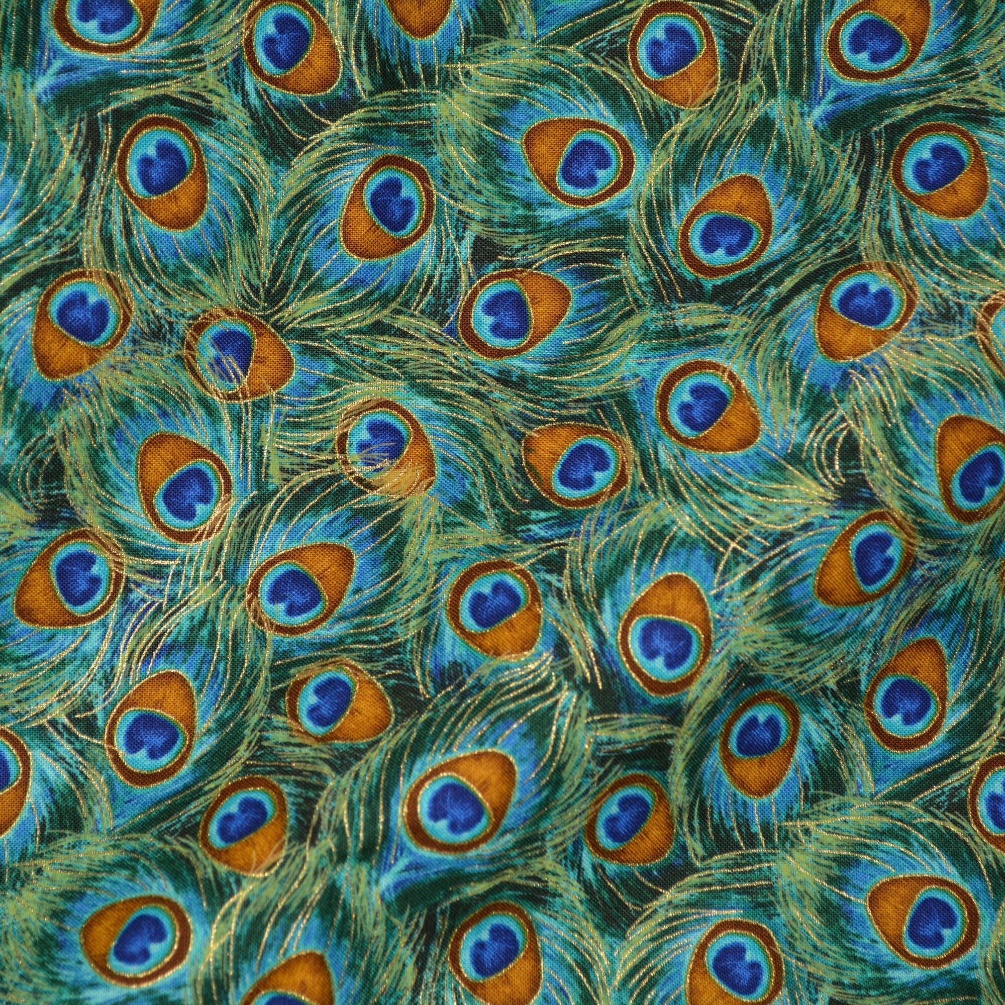 List 93+ Pictures Pictures Of Peacock Feathers Latest