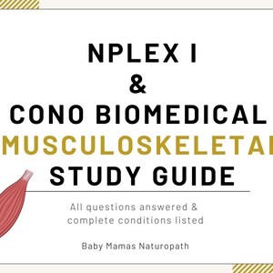 Puede incluir: Una guía de estudio para el examen NPLEX I, centrada en el sistema musculoesquelético. La guía es de Cono Biomedical y presenta una ilustración roja de un músculo.
