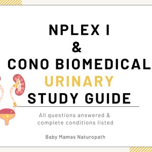 Puede incluir: Una guía de estudio blanca con el título "NPLEX I & CONO BIOMEDICAL URINARY STUDY GUIDE" en texto negro y amarillo. La guía incluye una ilustración del sistema urinario. También está presente el texto "All questions answered & complete conditions listed".
