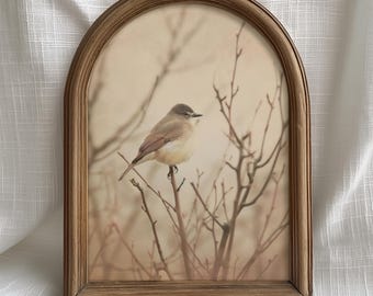 Living Room Wall Art Printable, Neutral Bird Nature Art, Minimalist Wildlife Wall Decor, Soft Beige Artwork