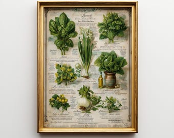 Spring Easter Wall Art Botanical Herbs, Vintage Green Plant Illustration, Antique Farmhouse Kitchen Digital Download