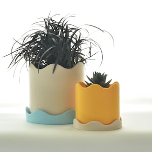 Pode incluir: Dois vasos de plantas com bordas onduladas. O vaso maior é de cor creme com uma base azul claro e contém uma planta preta. O vaso menor é amarelo com uma base creme e contém uma pequena planta suculenta verde.