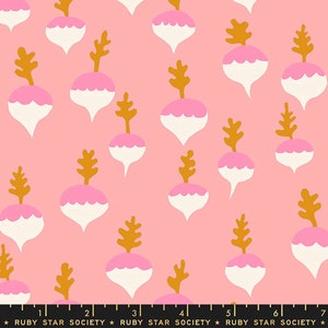 Petunia - By Kimberly Kight Of Ruby Star Society Collaboration - For Moda - (RS3047 11) - 1 Yard - 10.95 Dollars