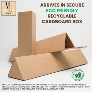 Puede incluir: Una caja de cart&oacute;n triangular con el texto "ARRIVES IN SECURE ECO FRIENDLY RECYCLABLE CARDBOARD BOX" impreso en ella. La caja est&aacute; hecha de cart&oacute;n marr&oacute;n y tiene un logotipo ecol&oacute;gico verde en el lateral.