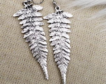 Silver Fern Earrings