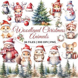 Clipart di animali del bosco di Natale, simpatici cuccioli del bosco, simpatici animali della foresta, clipart del bosco invernale, ornamenti natalizi, orso