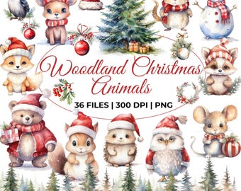 Woodland Christmas Animals Clipart, Cute Woodland Baby Animals, Cute Forest Animals, Winter Woodland Clipart, Christmas Ornaments, Bear