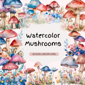 Clipart acquerello di funghi / Funghi magici / Arredamento fungo carino / Foresta incantata / Fiori PNG / Arredamento botanico / Arredamento Boho
