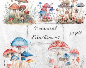 Mushroom Watercolor Clipart | Botanical Mushrooms | Magic Mushrooms | Mushroom Decor | Enchanted Forest| Boho Flowers | Mushroom PNG