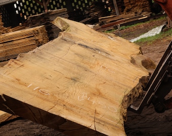 European Oak Large XXL Live Edge Slab