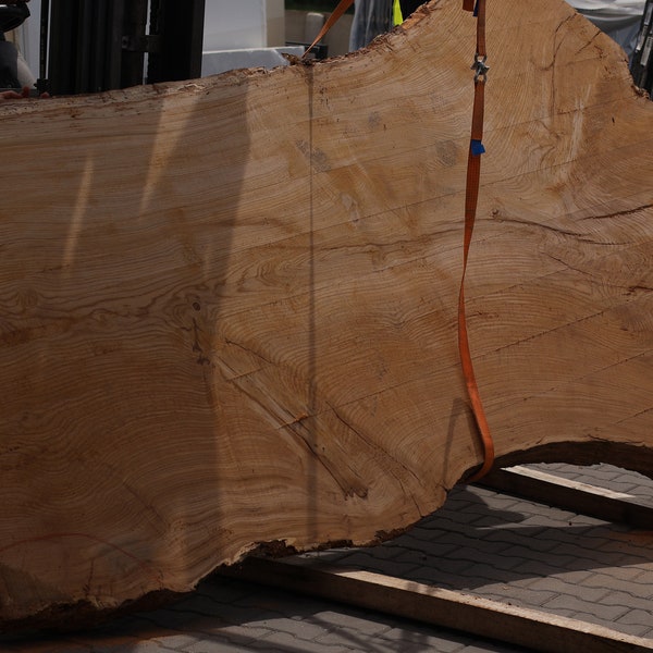 Live Edge European Oak Wood Slab Plank Extra Large