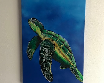 Sea turtle