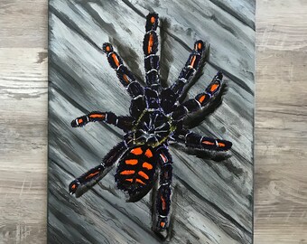 Tarantula