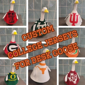 College Football Baseball Softball Volleyball Clothes for Mini Desk 7” Goose figurine| NO GOOSE INCLUDED | Custom | Choose your school