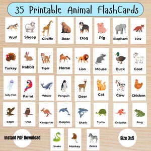 Animal Flashcards for Kids – Printable PDF | Educational Learning Cards | Instant Download | Preschool & Toddler Flash Cards|Any Age