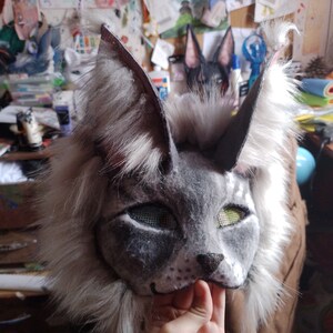 Grey Norwegian Forest Cat Maks - Etsy