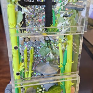 Sparkling zen garden front & top opening jumping spider home