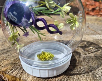 Bottom opening purple twist globe jumping spider home