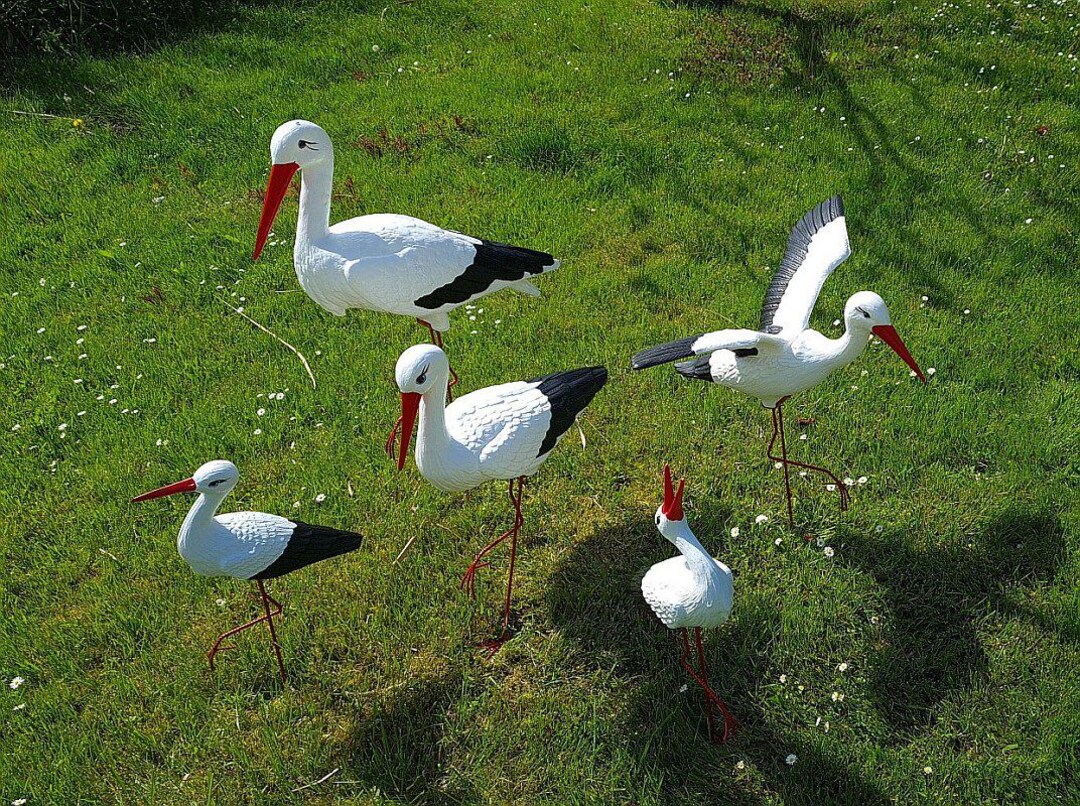 Stork Family 5 Stork in Set Sculpture Statue Figure Realistic Garden ...