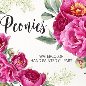 Aquarel pioenroos clipart. Felroze bloemen. Fuchsia bloemen PNG magenta huwelijksuitnodiging, wenskaarten, logo. Digitale download 007