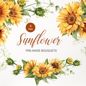 Aquarell Sonnenblume Clipart. Sonnenblumen Strauß PNG. Gelbes Blumenarrangement. Florale rustikale druckbare Grafik, digitale Illustration 010