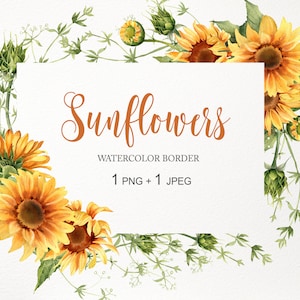 Clipart del bordo del girasole. Cornice girasole acquerello PNG. Sovrapposizione dell'angolo del girasole. Sfondo rustico floreale, immagine download digitale 010