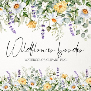 Clipart de borda floral. Flores Silvestres PNG. Flor do prado Margarida, calêndula, eucalipto, lavanda. Guirlanda floral em aquarela. Design perfeito 008